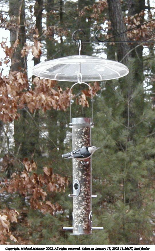 Bird feeder #12