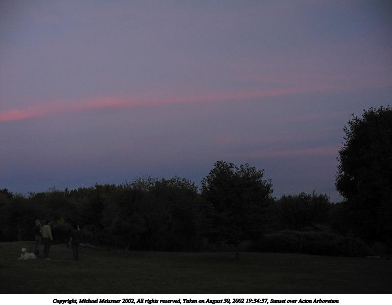 Sunset over Acton Arboretum #4