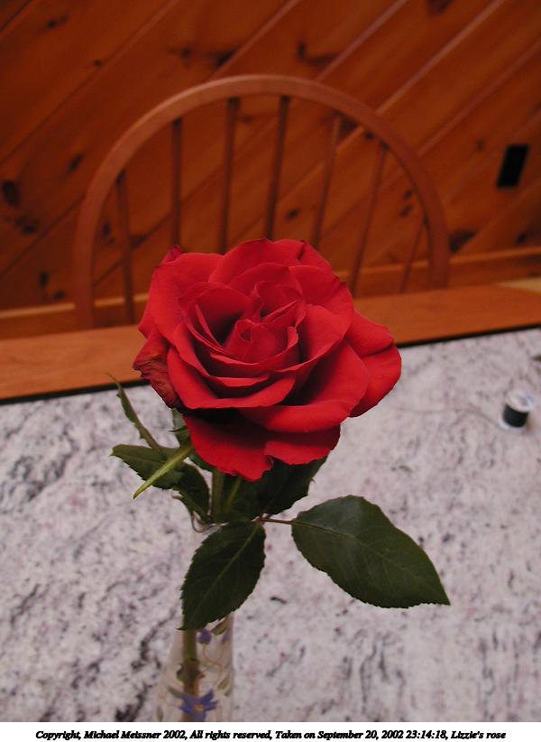 Lizzie's rose #2