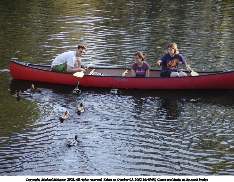 Canoe and ducks at the north bridge #3