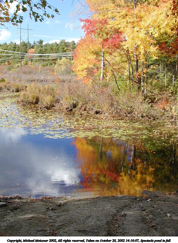 Spectacle pond in fall #2