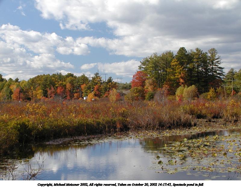 Spectacle pond in fall #7
