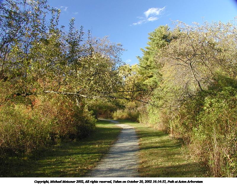 Path at Acton Arboretum