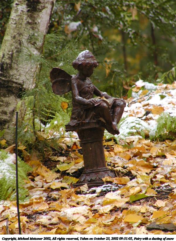 Fairy with a dusting of snow