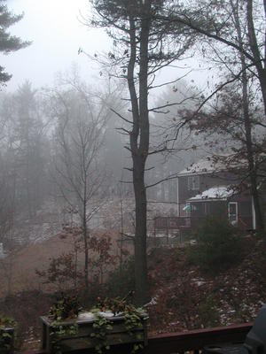 Foggy view from our living room #3