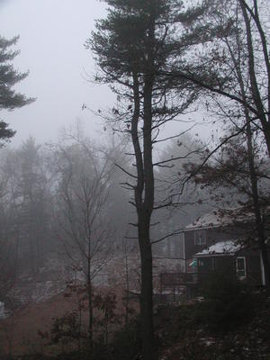 Foggy view from our living room #4