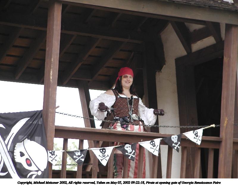 Pirate at opening gate of Georgia Renaissance Faire #3
