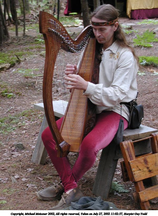 Harpist Guy Todd