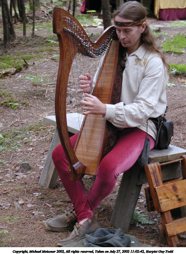 Harpist Guy Todd #2
