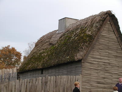 Thatched roof with moss