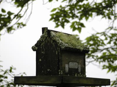 Birdhouse at Serenbe