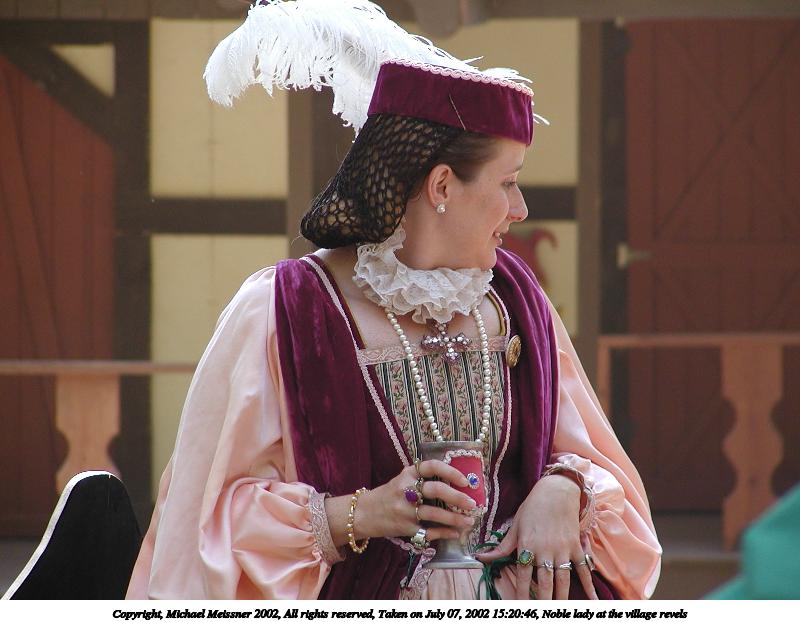 Noble lady at the village revels #3