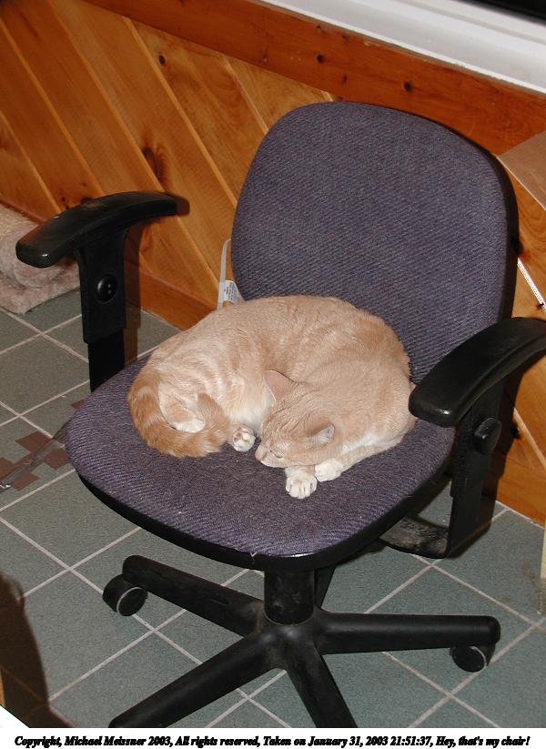 Hey, that's my chair!