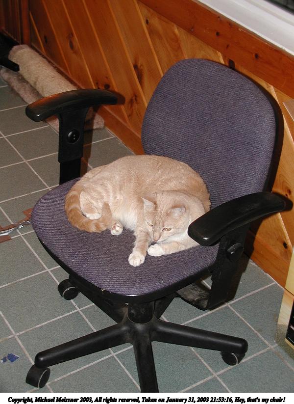Hey, that's my chair! #2