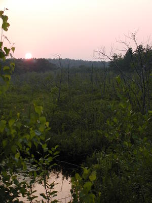 Sunset creek
