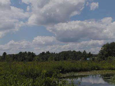 Clouds over Spectacle Pond #2