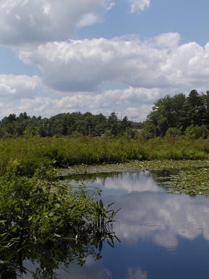 Clouds over Spectacle Pond #3