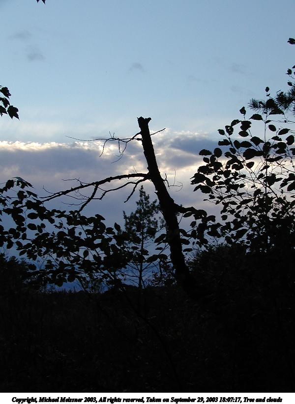 Tree and clouds #4