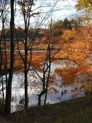 Fall on Spectacle Pond #2
