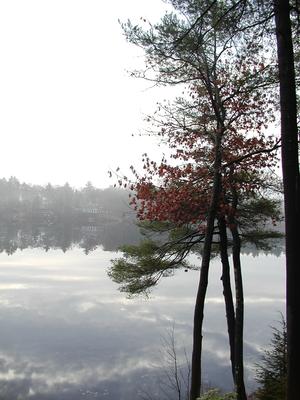 Foggy morning at the lake #2