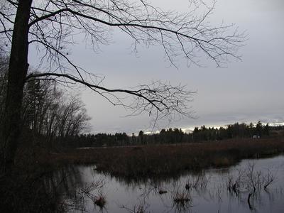 Spectacle Pond