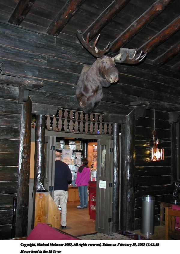Moose head in the El Tovar