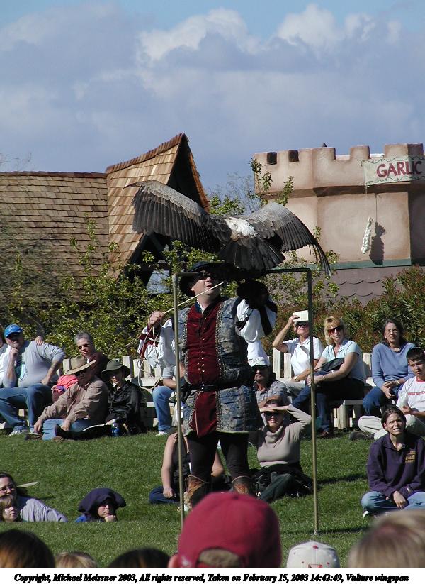 Vulture wingspan #2