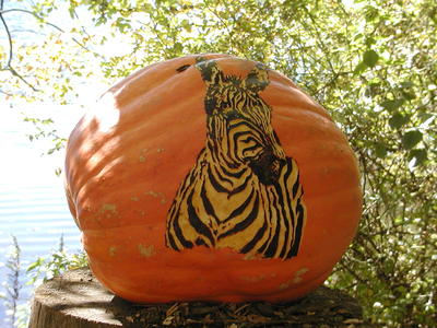 Zebra pumpkin