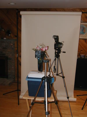 Setup for the 'How bugs perceive us' shot