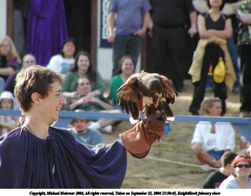 KnightHawk falconry show #18