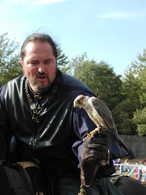 KnightHawk falconry show #3