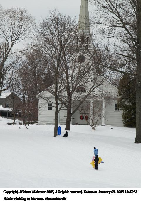 Winter sledding in Harvard, Massachusetts #4