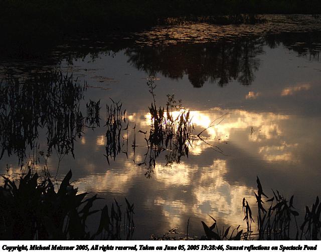 Sunset reflections on Spectacle Pond #2