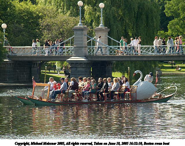 Boston swan boat