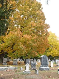 Fall graveyard #4