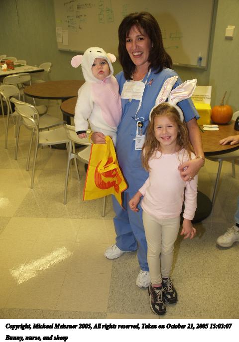 Bunny, nurse, and sheep