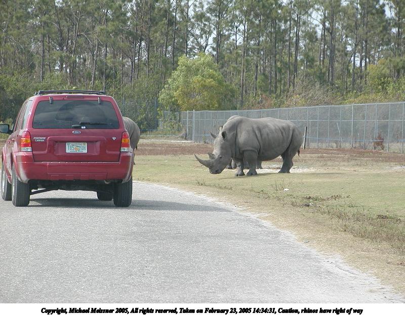 Caution, rhinos have right of way