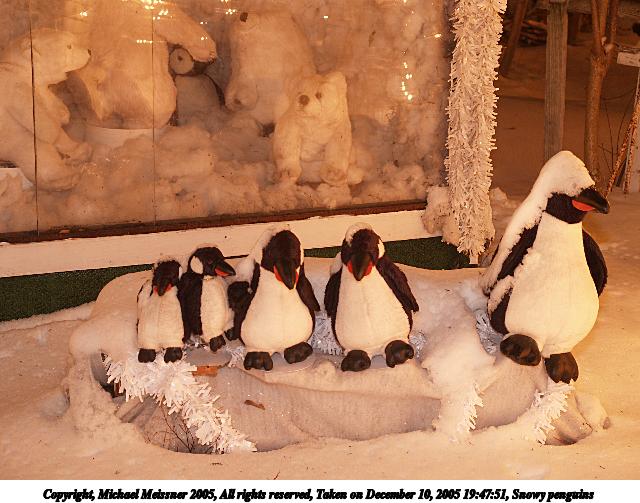 Snowy penguins