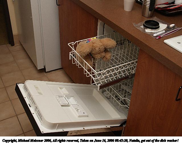 Natalia, get out of the dish washer!