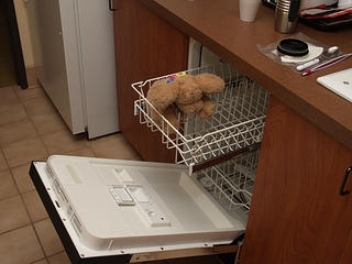 Natalia, get out of the dish washer!