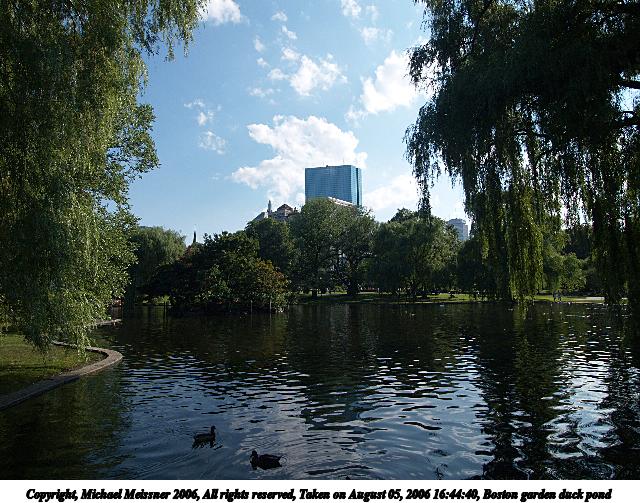 Boston garden duck pond