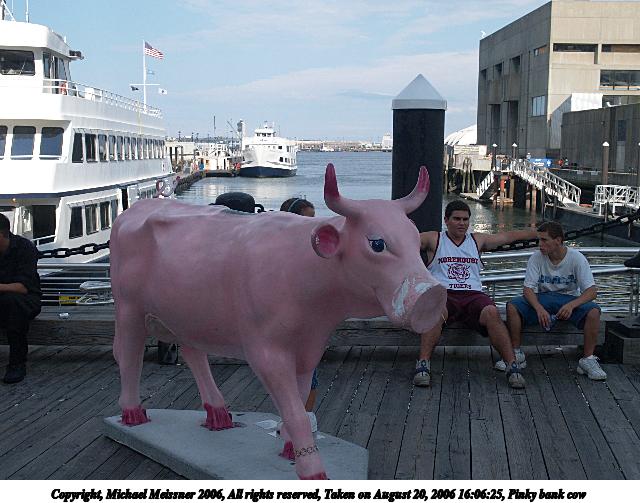 Pinky bank cow