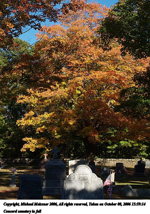 Concord cemetery in fall #3