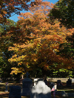 Concord cemetery in fall #3