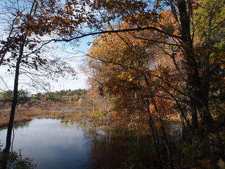 Spectacle Pond fall