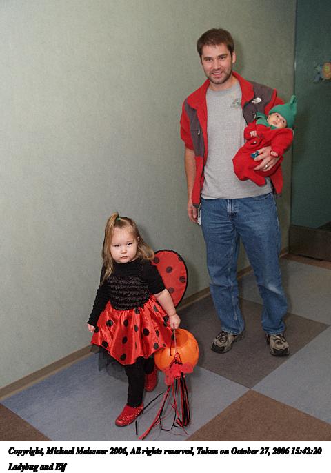 Ladybug and Elf