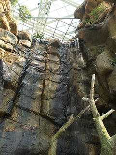 Waterfall in the National Aquarium