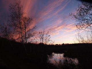 Spectacle pond sunset #2
