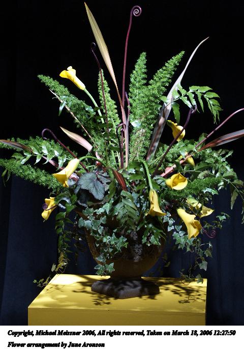 Flower arrangement by June Aronson