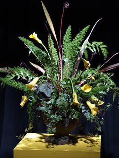 Flower arrangement by June Aronson